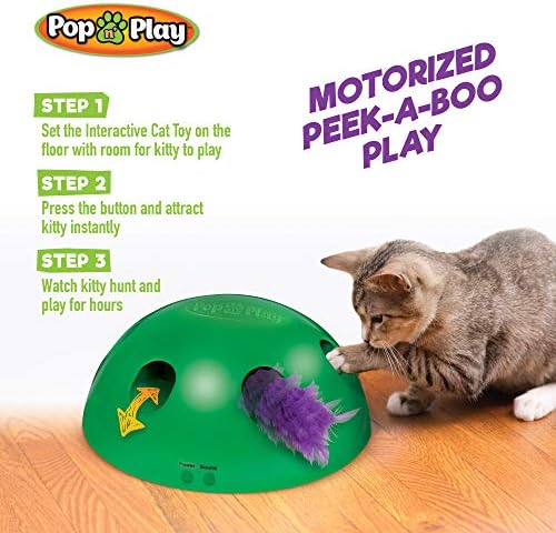 Allstar inovacije koristiti sa Pop N Play; 3 zamjena mačka igračka Prilozi; uključuje jedan miš, jedna riba i jedan pero. Pets Know Best'