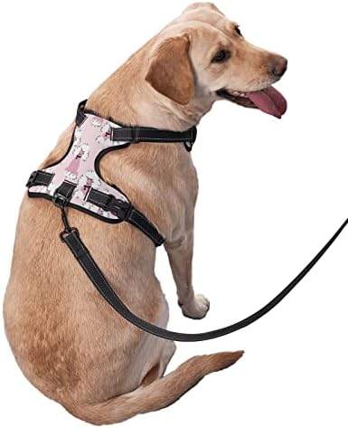 Pas kabelska slatka pudlica ružičasta smiješna kućna ljubimca podesivi vanjski prsluk u obliku