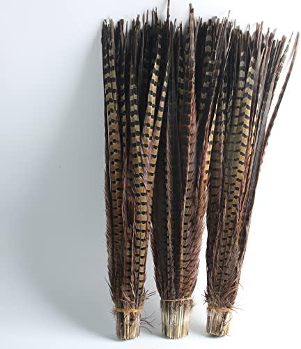 Prirodno perje repa fazana 22-24 inča za izradu nakita i karnevalske zanate plavo 50 komada