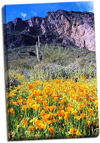 Gango Kućni dekor Picacho Peak Wildflowers, Likovna fotografija: Douglas Taylor; jedno ručno