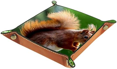TACAMENG Slatka vjeverica životinja, kutije za odlaganje malih kožnih nosača slatkiša za nosač Sundries za ključ, telefon, novčić, novčanik, satove itd.