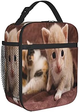 Mačić pet mačka beba mačka životinjsko krzno pripitomljena velika meka torba za ručak izolovana torba
