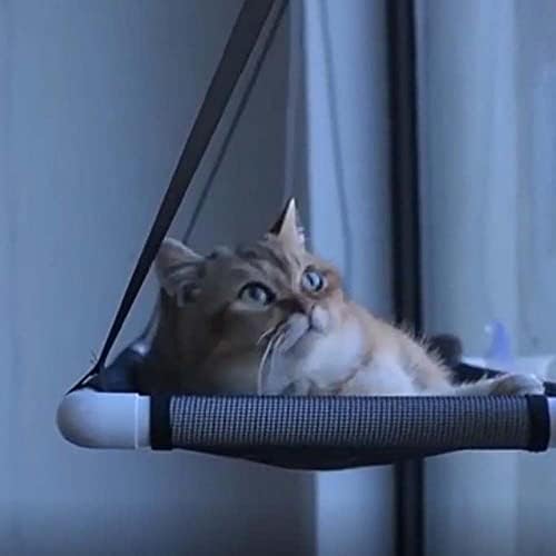 Prozor za mačke, prozor za mačke viseća mreža za mačke sa usisnim čašama, sigurnosne police za mačke koje