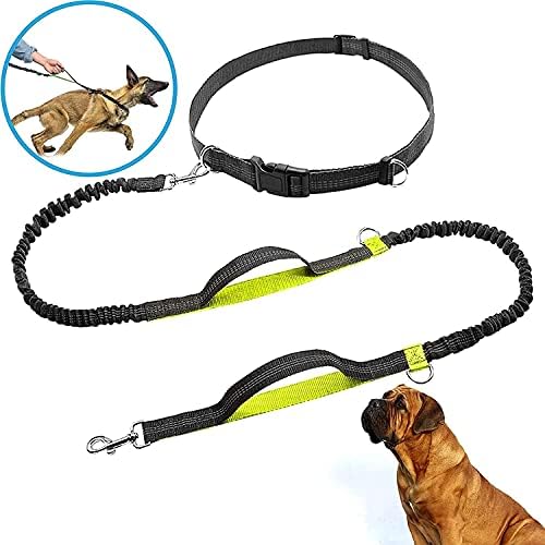 Pas kabelski svežanj struka sa povodcem za porotnik bezduženog psa sa podesivim pojasom, dvostrukim bungee dizajnom - savršen za trčanje, trčanje, hodanje