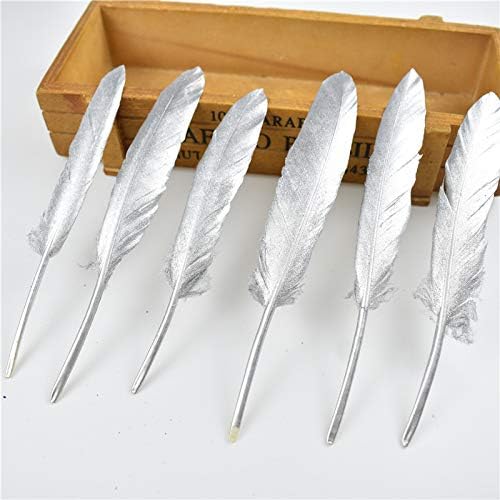 TTNDstore Umočeno zlatno pačje perje Gusje perje za 10-15cm/4-6inch Bijelo prirodno perje fazana za