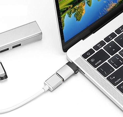 Boxwave Cable kompatibilan sa TESLONG MS450 - USB-C do portchangera, USB tip-C OTG USB prijenosni privjesak