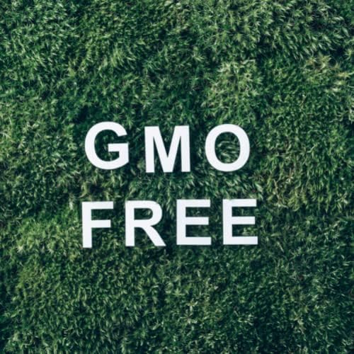 Mistični trenuci | Rice Bran Carrier ulje - 1 litra - čisto i prirodno ulje savršeno za kosu, licu, nokte, aromaterapiju, masažu i razrjeđivanje ulja Vegan GMO Besplatno