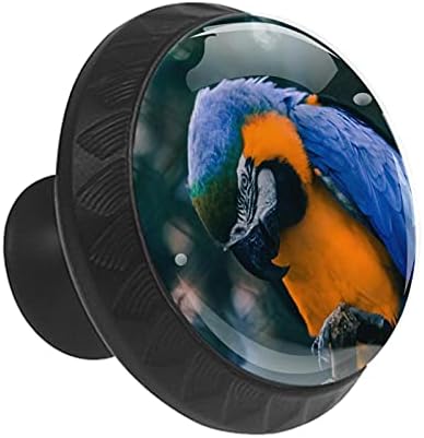 12 komada stakleni gumbi za životinje papagaja za Komode, 1,37 x 1,10 u okruglim kuhinjskim ormarićima