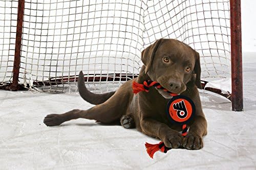 NHL Philadelphia Flyers Pak igračka za pse & amp; mačke. Igrajte Hokej sa svojim ljubimcem s ovom licenciranom