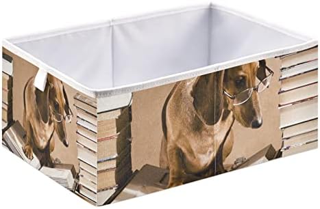 Poeticcity smeđi pas za jazavčar sa sunčanim naočalama Čitanje knjiga Kvadratna košara za skladištenje kante, kutija za skladištenje u sklopu, sklopivi rasadnici Organizator za igračke, odjeću koja se lako sastavlja
