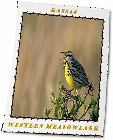 3drose cvjećarska državna ptica - Državna ptica zapadnih meadowlarka Kansas - ručnici