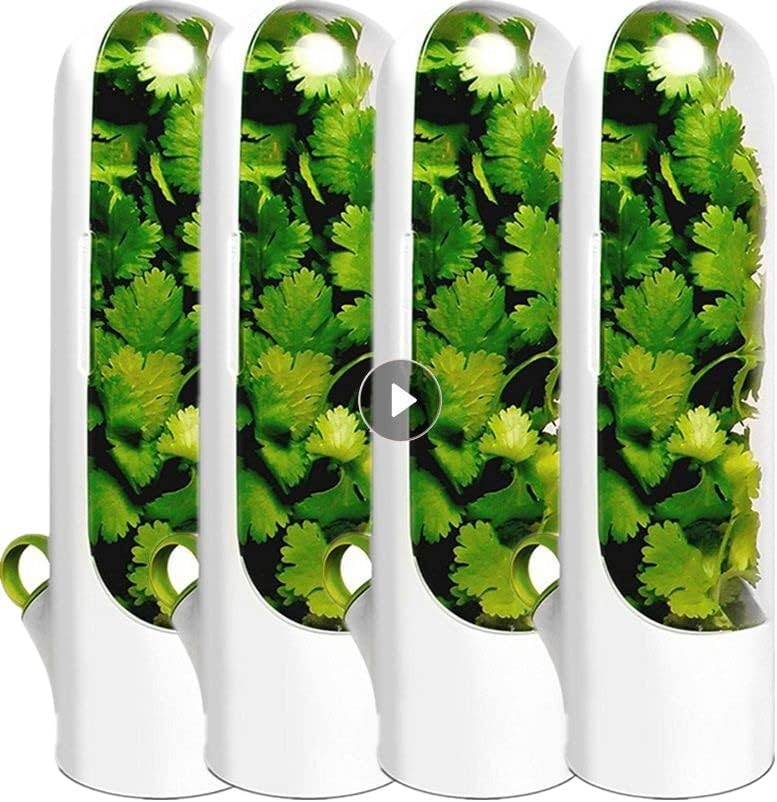 Weershun Herb Saver Premium Herb storage Container čuva zelje povrće svježe Premium Herb Keeper Clear Spice frižider konzervans Storage