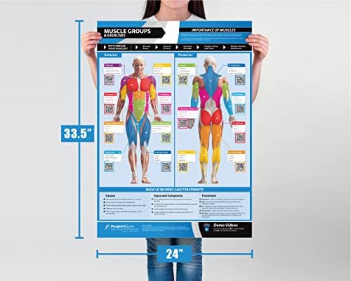 Plakati za vježbanje za kućnu teretanu / Poster za teretanu grupe mišića / posteri za vježbe | laminirana
