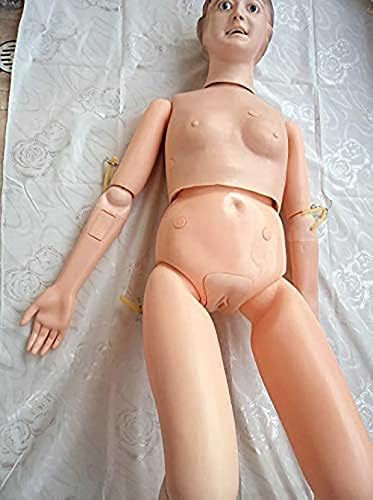 Kennix ljudski anatomski model multifunkcionalni pacijentski simulator pacijenta muški i ženski