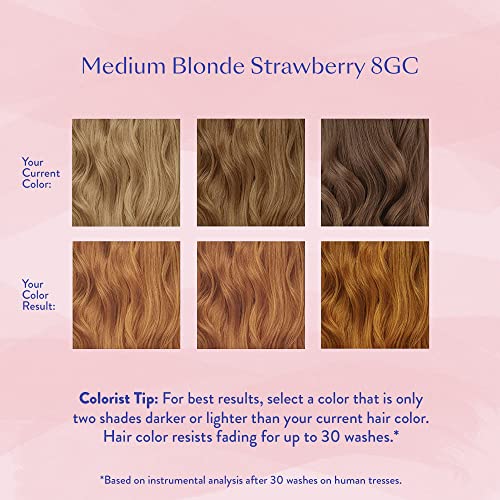 eSalon Permanent Hair Color & farba za kosu kompletan komplet-srednje plava jagoda - lični koloristički komplet do sive pokrivenosti za sve tipove kose - profesionalna boja za kosu bez amonijaka