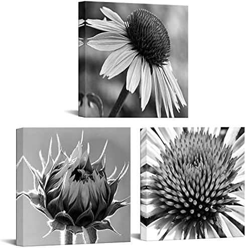 Nachic zid 3 komada crno-bijeli cvijet platno zid Art Close Up suncokret monohromatski Foto Art