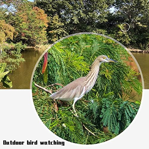 # Jz9E33 10 X 22 dvogled za odrasle dvogled velikog vidnog polja visoke definicije za posmatranje ptica životinje koje gledaju na otvorenom