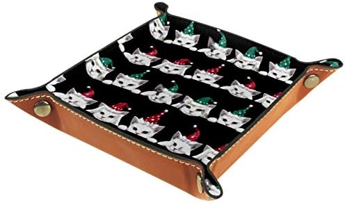 Lyetny Christmas CAT organizator po kutija za skladištenje stakla za pladanj za desktop Promjena tipke Novčanik Coin Box ladica za skladištenje ležišta, 20,5x20,5cm