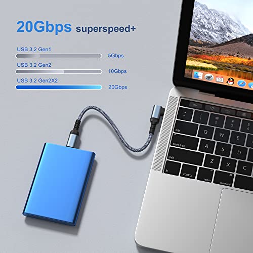 Besplatno USB C do USB C kabel 1,5ft, desni ugao 20Gbps Prenos podataka 100W Brzi punjenje 4K Video izlaz USB 3.2 Gen2x2 Tip C kabel kompatibilan za MacBook Pro Thunderbolt 3 SSD Galaxy-2pack, siva