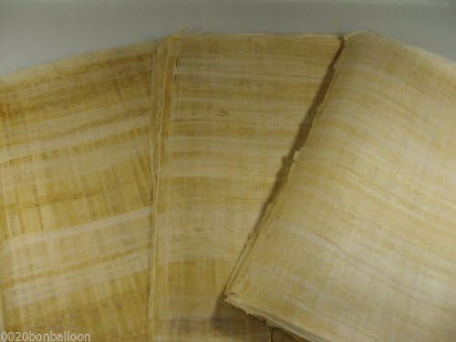 10 Prazan papirus veleprodajni parcel egipatske originalne ruke napravljeno 8 x6