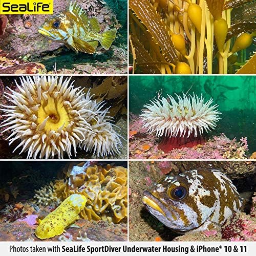 Sealife Underwater Smartphone Scuba Case – zaronite na 130', vodootporna fotografija, kontrole