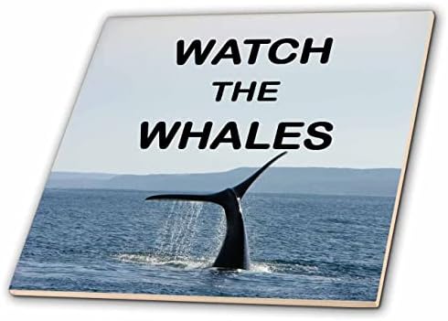 3drose Slika Fotografije pravih kitova reči gledajte kitove-pločice