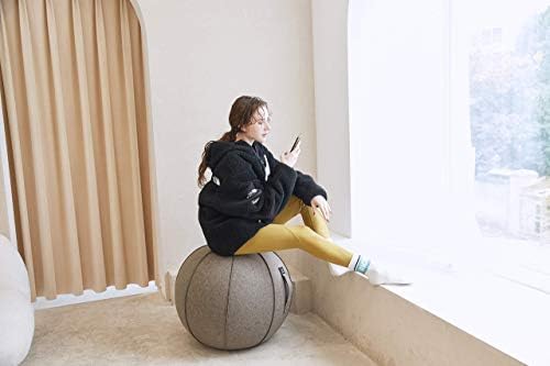 XGYLVFEI 65cm sjedeća kuglična stolica za ured, spavaonicu i Dom, Lopta za jogu za Pilates vježbe s poklopcem, lagano samostojeće ergonomsko držanje koje aktivira rješenje za vježbu s ručkom i pumpom