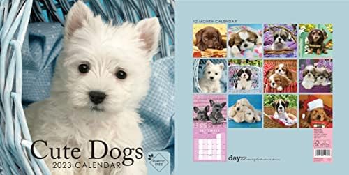 2023 Slatki psi štenad trga viseći zidni kalendar sa zapanjujućim fotografijama. Dnevno, tjedno, mjesečni planer 12 mjeseci, Organizator psa