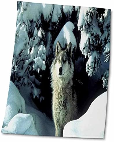 3drose cvjetni životinje - sivi vuk u snijegu - ručnici