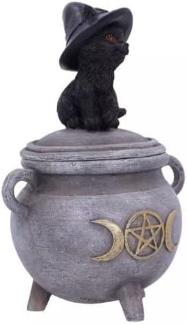 Pacific Giftware crna mačka sa Vještičjim šeširom sjedi na kutiji za kotlove, Poliresin nakit ili