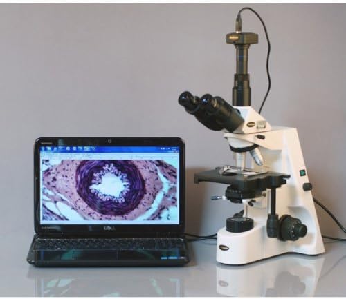 Amscope T660B profesionalni Trinokularni složeni mikroskop, uvećanje 40X-2000x, Wh10x i WH20x