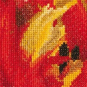 Thea Gouverneur 18 brojanje tulipana crvenog/žutog papagaja na Aida kompletu za ukrštene šavove, 13,5 x 14,25