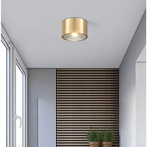 Ibajdy Zatvoreni LED stropni svijetlo zlato Mini cilindrična stropna svjetiljka površine stropne svjetla bakrena