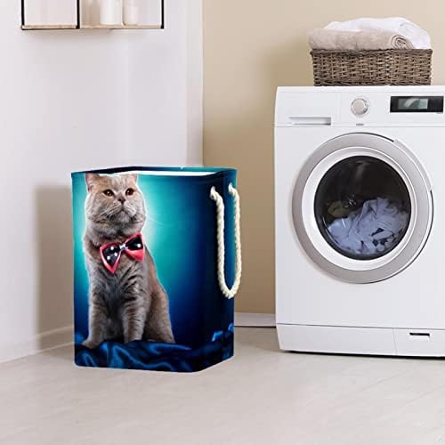 Kreativna mačka s lukom plavom rubljarskom korpom Sklopivi pravokutni organizator CACHER za