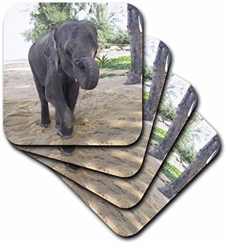 3drose cst_26798_3 tajlandski podmetači za slonove i keramike, Set od 4 komada