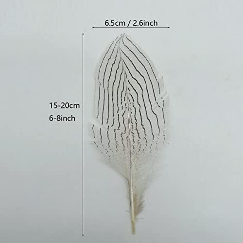 10pcs Prirodni pjegavi perje featheers feat feather za craft odjeću nakit oprema ukras