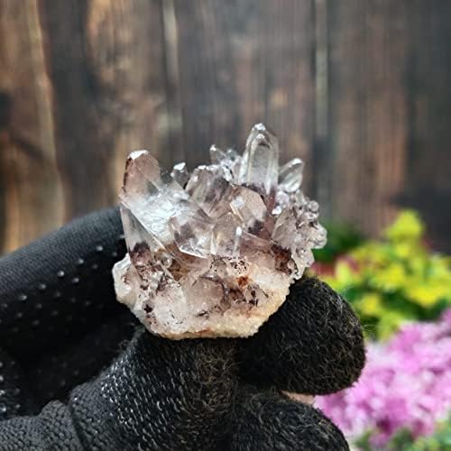 25 G Spirit Kvarcni kaktus Crystal