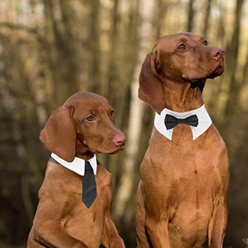 Ipetboom Puppy Collars Cat Kamera ovratnik vjenčani pas Bandana ovratnik i komplet kravata formalni muški