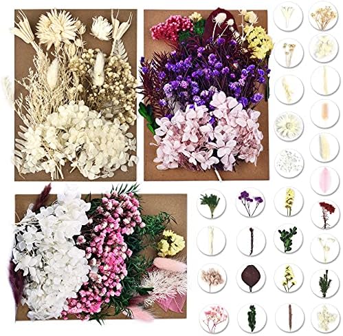 Dalaran 6 pakovanje sušeno cvijeće za svijeće za izradu svijeće prešano sušeno cvijeće višestruko prirodno