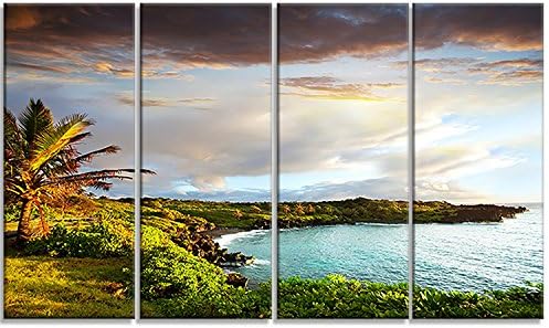 Designart Hawaii Ostrvo Oahu-fotografija metalni zid Art-MT6803-40x30, 40x30
