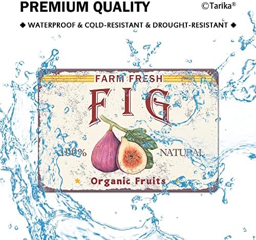 Farm Fresh Fig priroda organsko voće Iron Poster slika Limeni znak Vintage zidni dekor