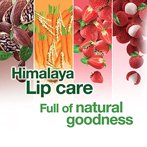 Himalaya balzam za usne, pakovanje od 12 komada sa pšeničnim klicama i šargarepom ulje semena hrani