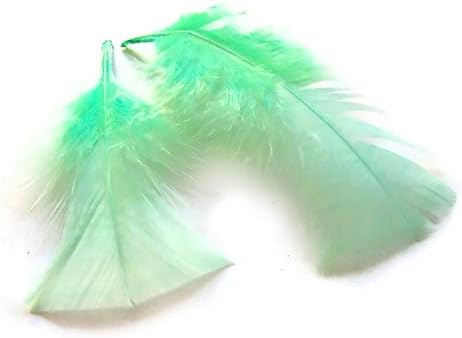 1 pakovanje-Aqua Green Turkey t-Base perje od perja 0,50 oz. Hvatač Snova, Vjenčanje, Perje Kostima