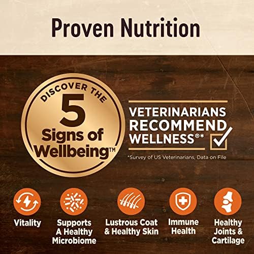 Paket Wellness jezgra probavnog zdravlja suha zrna pseće hrane, probavljiva za pse, prava piletina