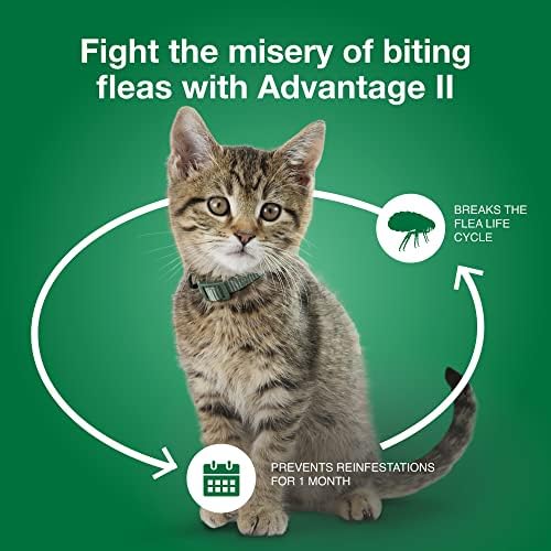 Advantage II mala mačka Vet-preporučuje tretman protiv buva & prevencija | mačke 5-9 lbs. / 12-Mjesečna