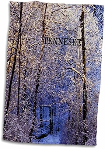 3droza Florene Amerika prekrasna - snijeg u šumi u Nashville tennesee - ručnici
