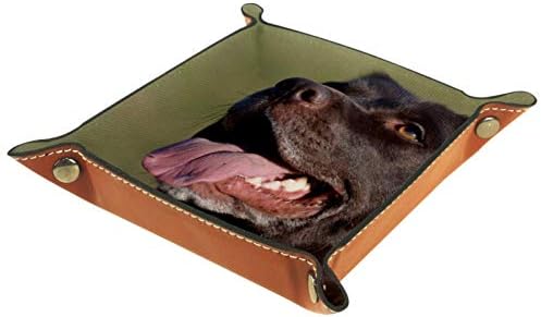 Sretna crna labrador ljubavni pas organizator za skladištenje ladice za skladištenje kreveta Beddide