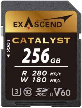 Exascend 256 GB Catalyst SD kartica, C10, U3, V60, do 280mb/e, kompatibilan sa Canon, Nikon, Panasonic i druge kamere.