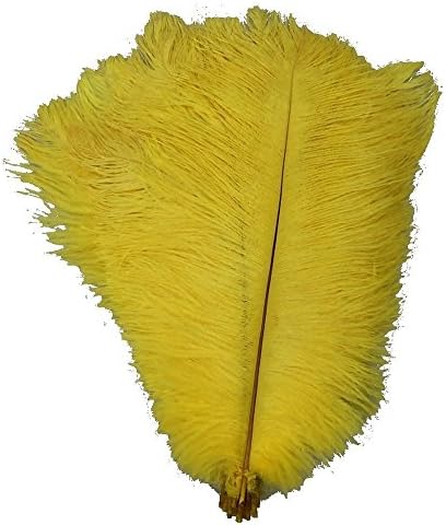 Zamihalaa-10pcs / Lot prirodno žuto nojevo perje za zanate 15-75CM dekor od Nojevog perja karnevalski