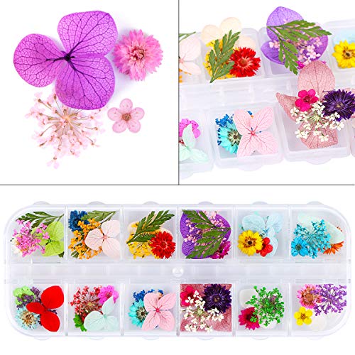 2 kutije sušeno cvijeće za Nail Art, KISSBUTY 24 boje suho cvijeće Mini pravo prirodno cvijeće Nail Art potrepštine 3D aplikacija naljepnica za dekoraciju noktiju za savjete manikir dekor